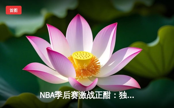 NBA季后赛激战正酣：独行侠抢七逆转掘金，东契奇砍下45分创纪录